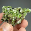 Wulfenite with Duftite - image 2