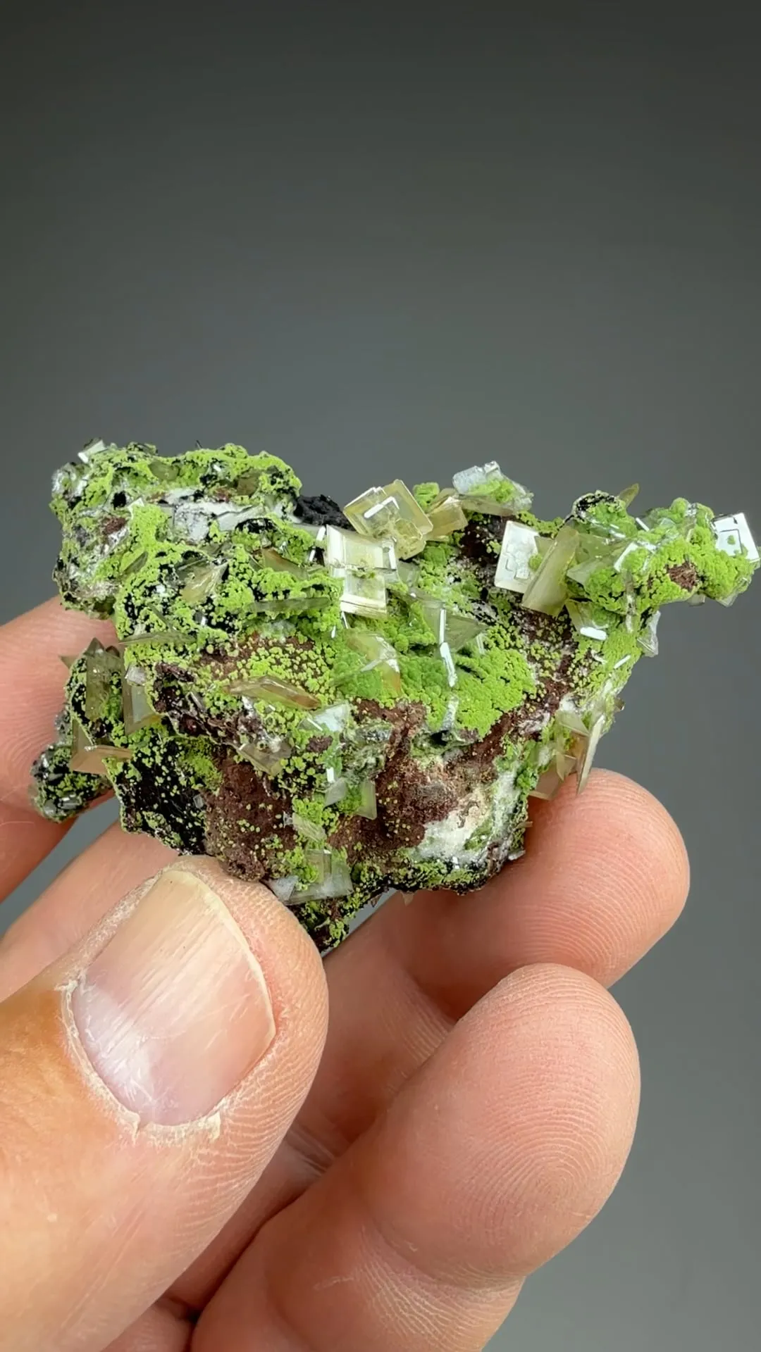 Wulfenite with Duftite - image 2