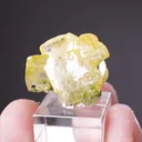 Wulfenite with Duftite - image 2