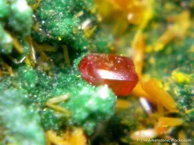 Wulfenite With Kasolite, Torbernite, Guilleminite and Malachite - image 3
