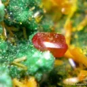Wulfenite With Kasolite, Torbernite, Guilleminite and Malachite - image 3