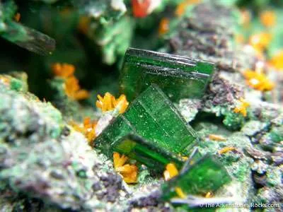 Wulfenite With Kasolite, Torbernite, Guilleminite and Malachite - image 1