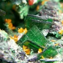 Wulfenite With Kasolite, Torbernite, Guilleminite and Malachite - image 1