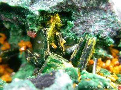 Wulfenite With Kasolite, Torbernite, Guilleminite and Malachite - image 2