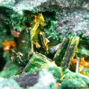 Wulfenite With Kasolite, Torbernite, Guilleminite and Malachite - image 2