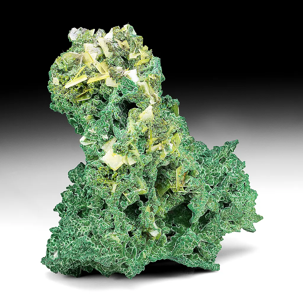 Wulfenite with Malachite image