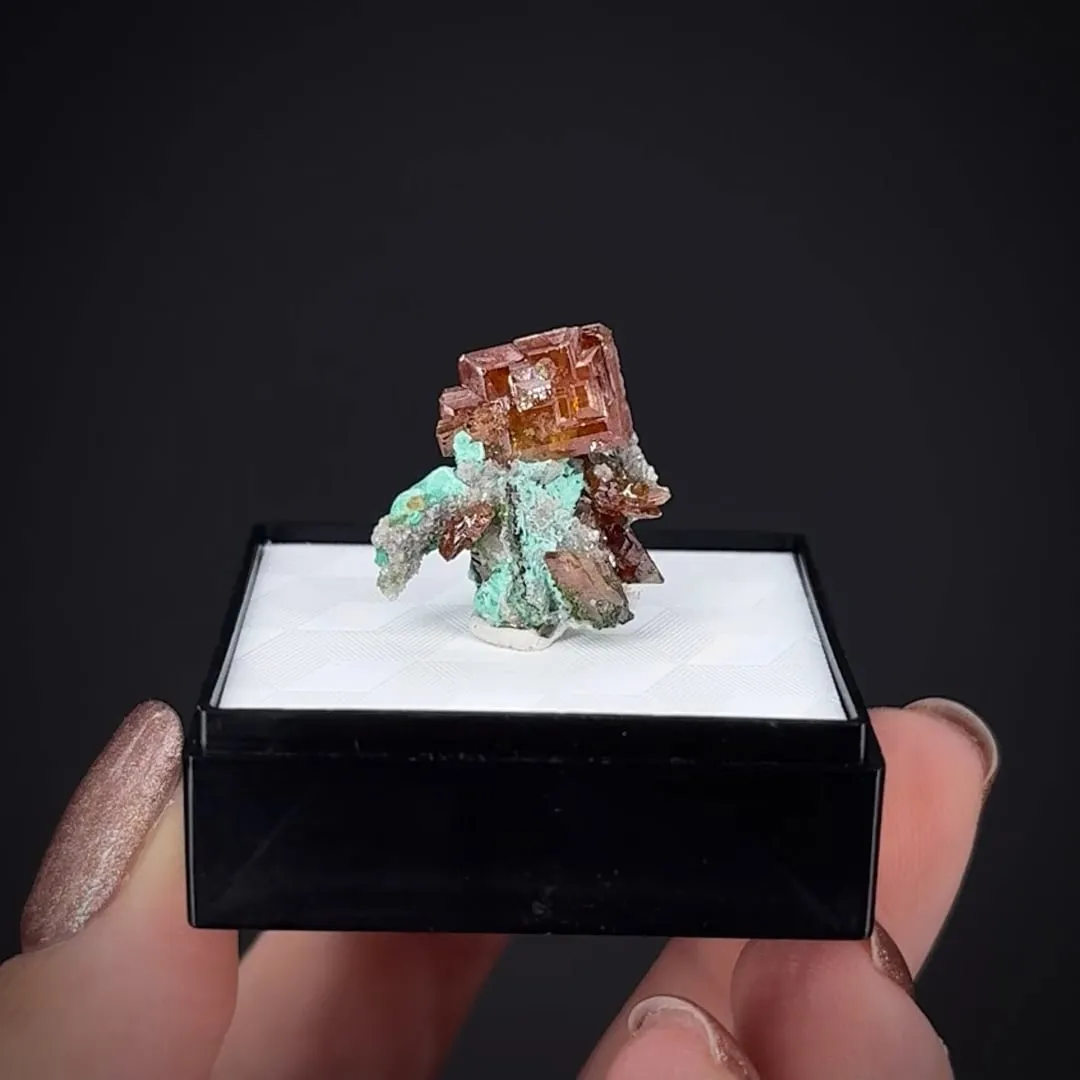 Wulfenite with Malachite - image 2