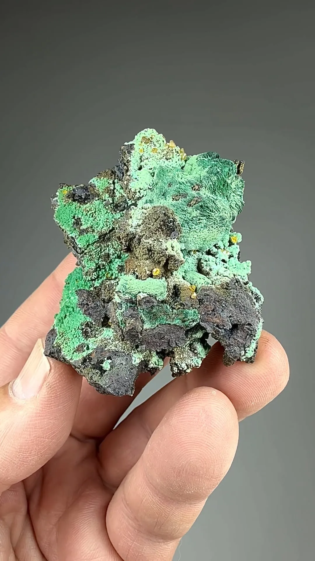 Wulfenite with Malachite after Azurite - image 2