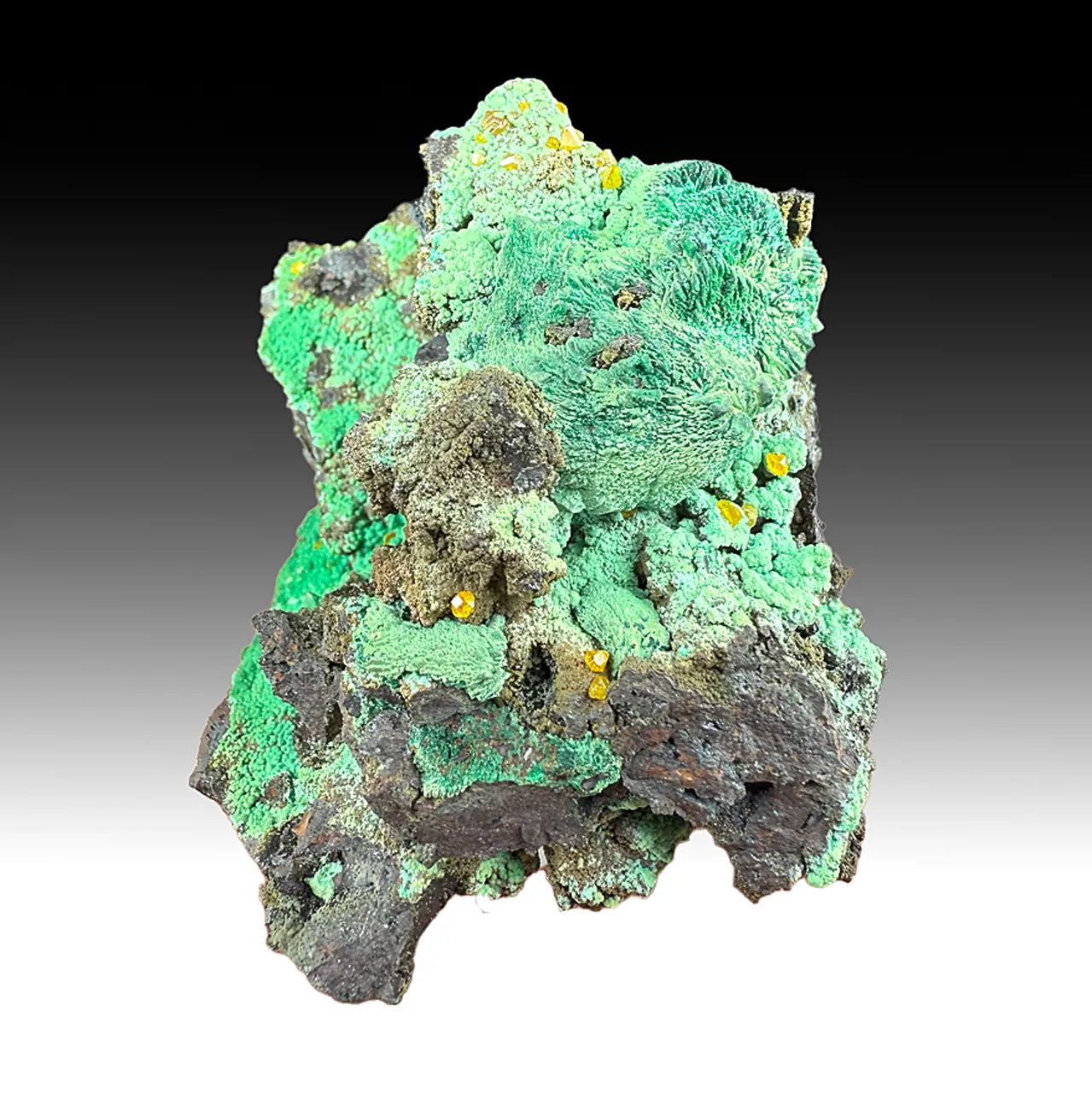 Wulfenite with Malachite after Azurite - image 1