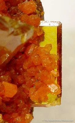 Wulfenite With Mimetite - image 3
