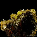 Wulfenite with Mimetite - image 1