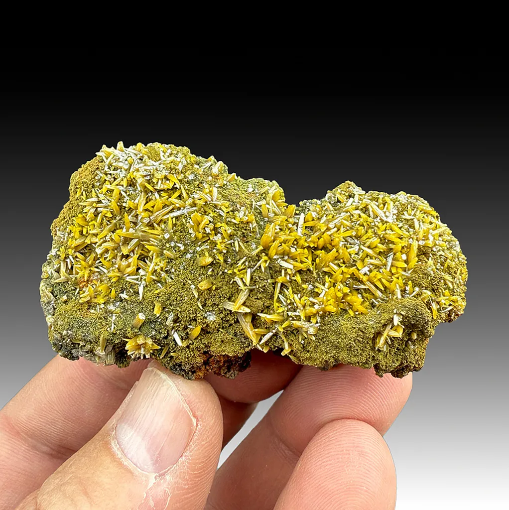 Wulfenite with Mimetite image