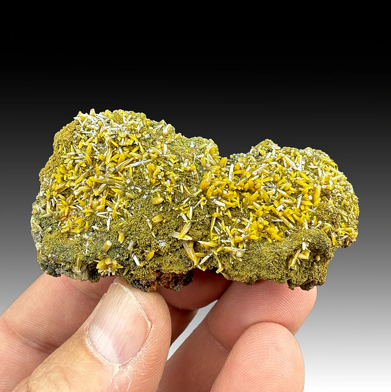 Wulfenite with Mimetite - image 1