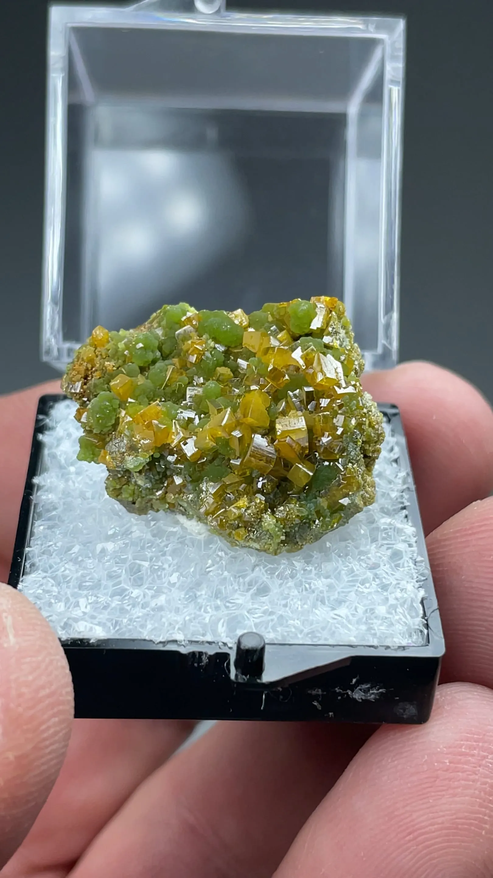 Wulfenite with Mimetite - image 2
