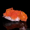 Wulfenite with Mimetite - image 1