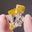 WULFENITE with MIMETITE - image 2