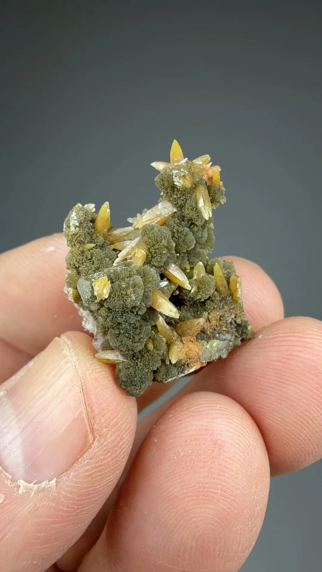 Wulfenite with Mimetite - image 2