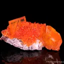 Wulfenite with Mimetite - image 3