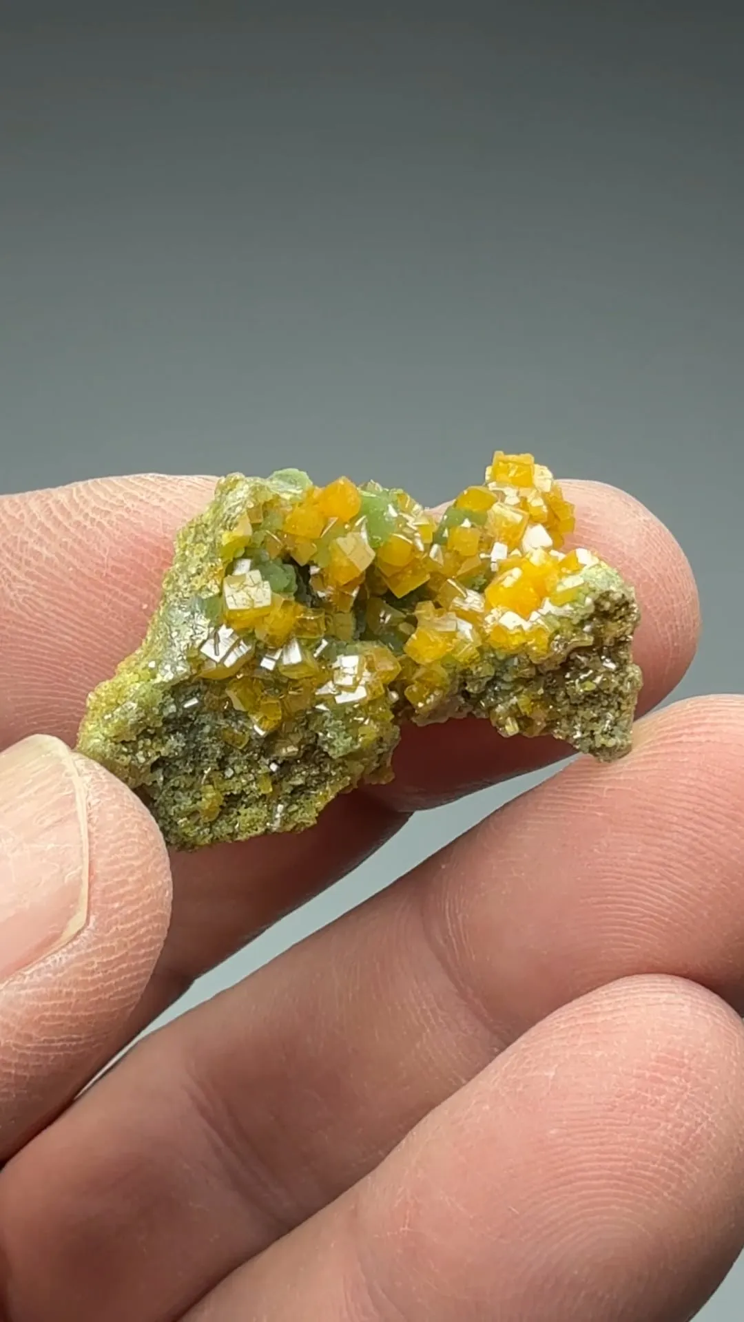 Wulfenite with Mimetite - image 2
