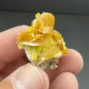 Wulfenite with Mimetite - image 2