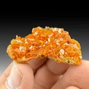 Wulfenite with Mimetite - image 1