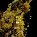 Wulfenite with Mimetite - image 1