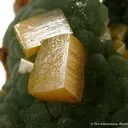 Wulfenite With Mimetite - image 3