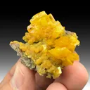 Wulfenite with Mimetite - image 1