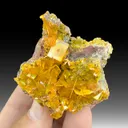 Wulfenite with Mimetite - image 1