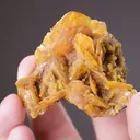 Wulfenite with Mimetite - image 2