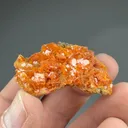 Wulfenite with Mimetite - image 3