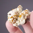 Wulfenite with Mimetite - image 2