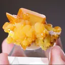 Wulfenite with Mimetite - image 2