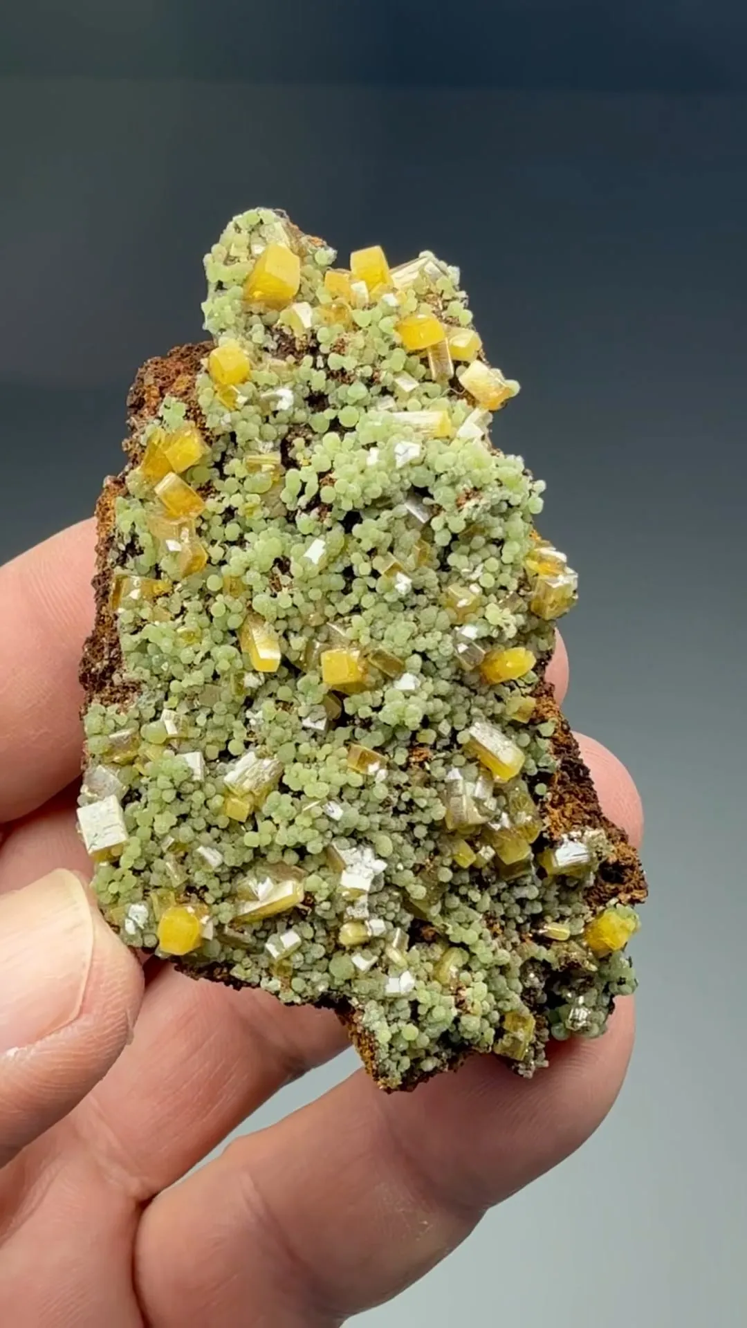 Wulfenite with Mimetite - image 2