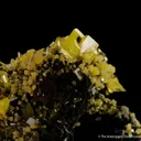 Wulfenite with Mimetite - image 7
