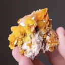 Wulfenite with Mimetite - image 2