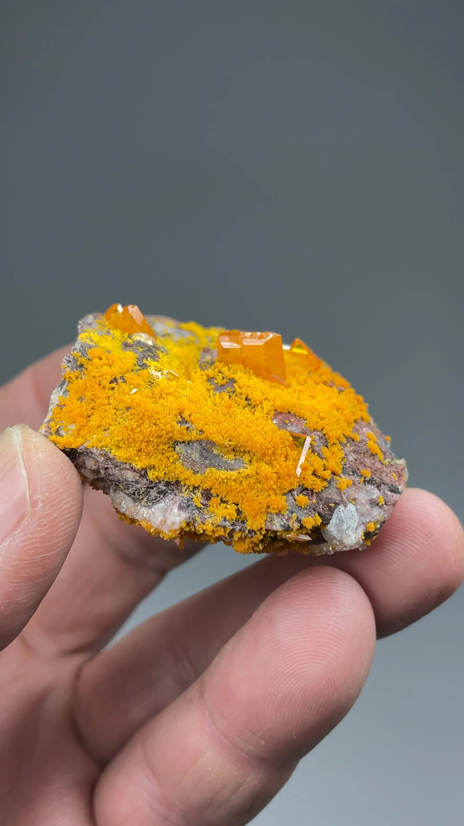 Wulfenite with Mimetite, Barite - image 2