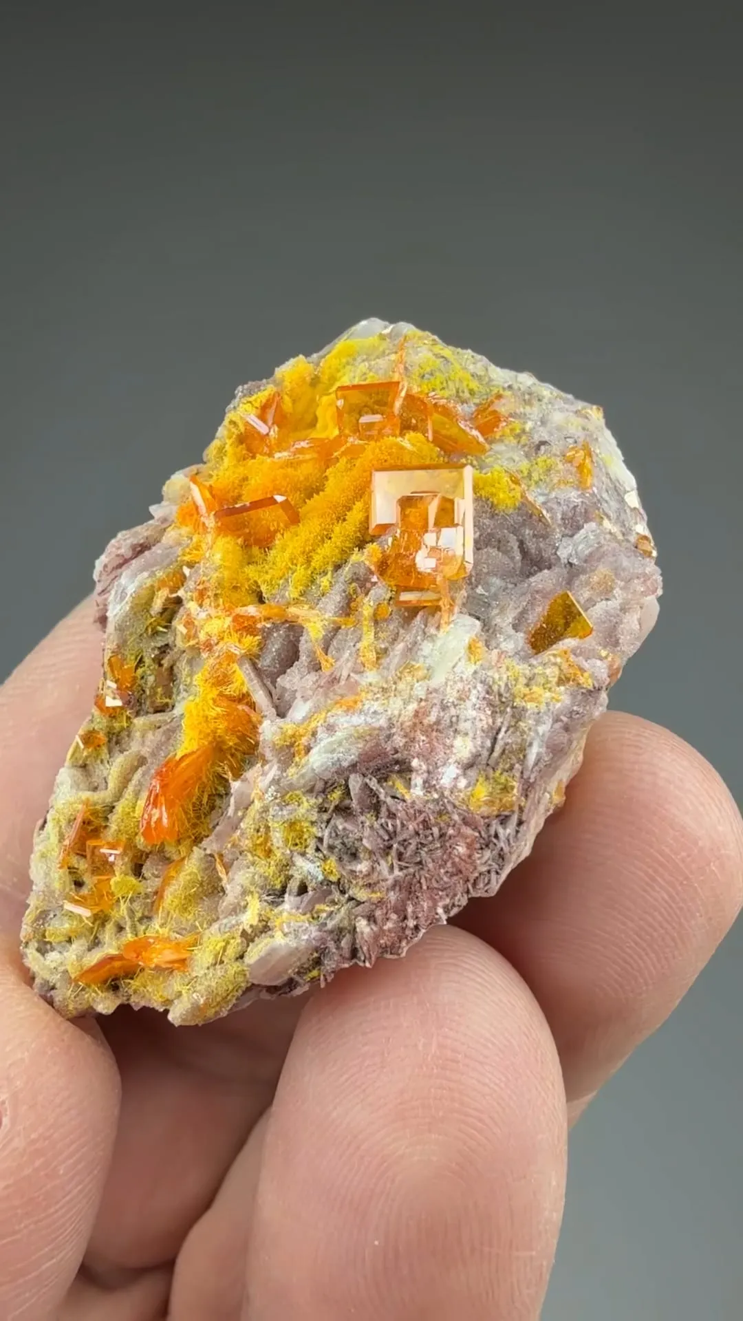 Wulfenite with Mimetite, Barite - image 2