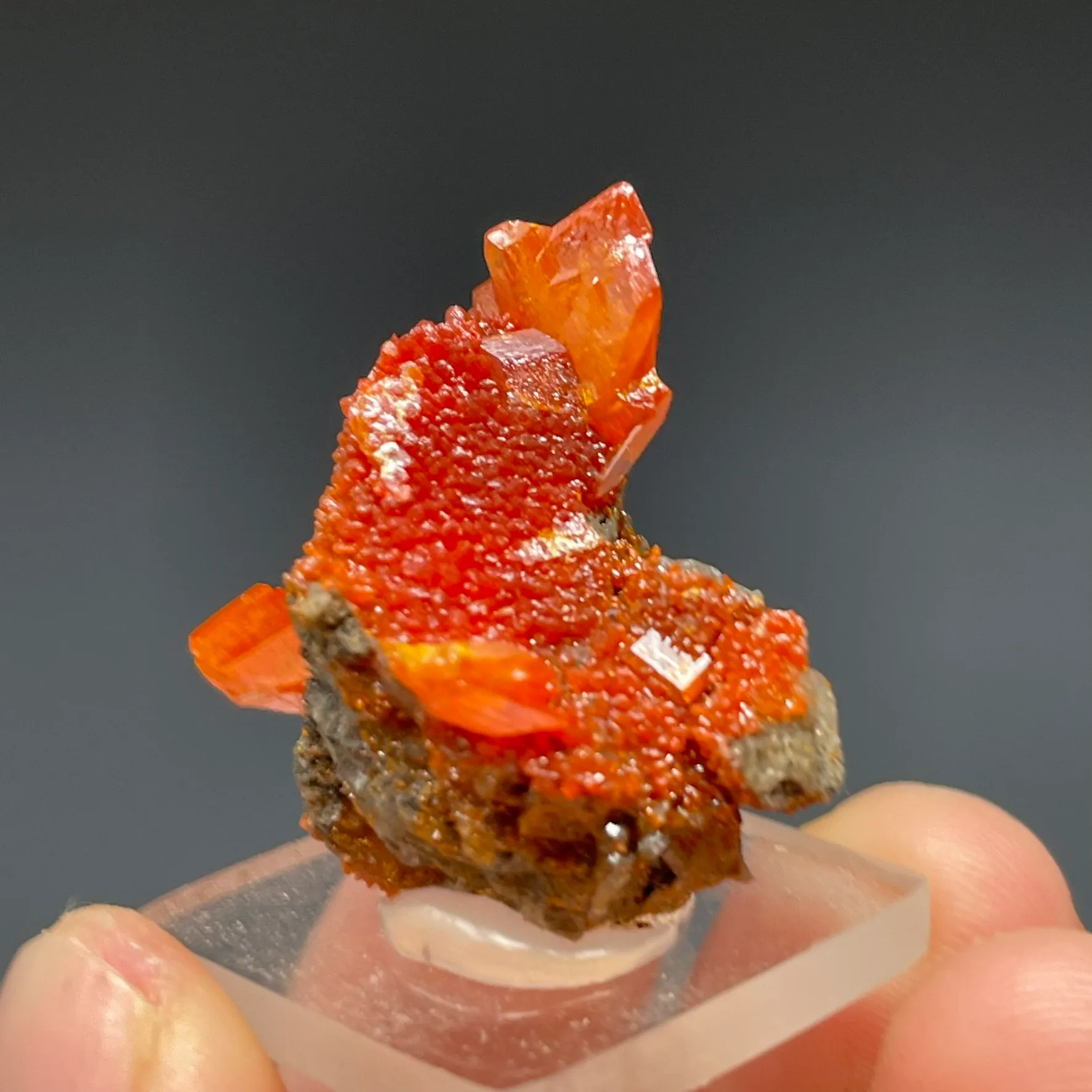 Wulfenite with Mimetite - image 2