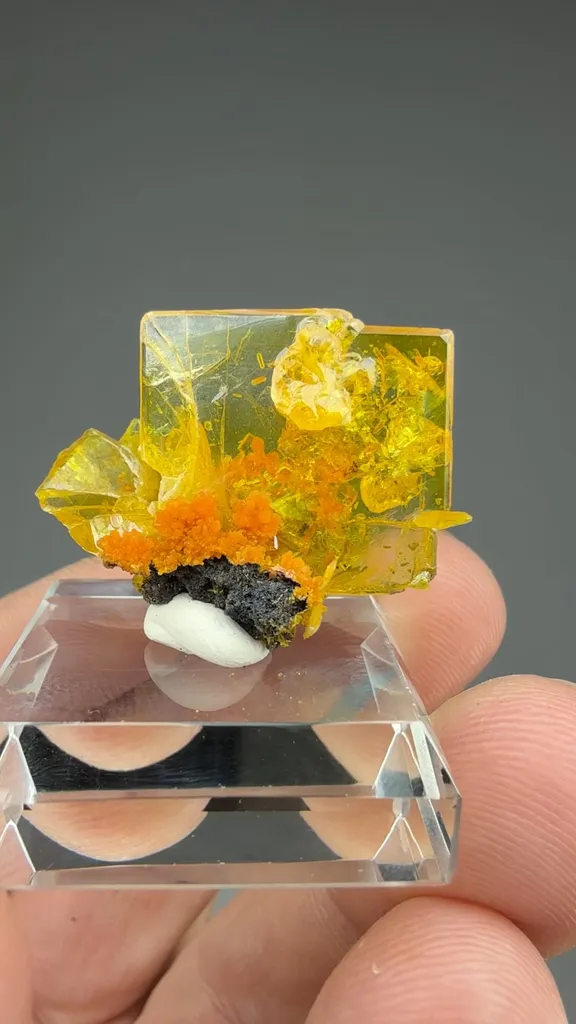 Wulfenite with Mimetite image