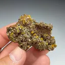 Wulfenite with Mimetite - image 2