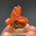 Wulfenite with Mimetite - image 1