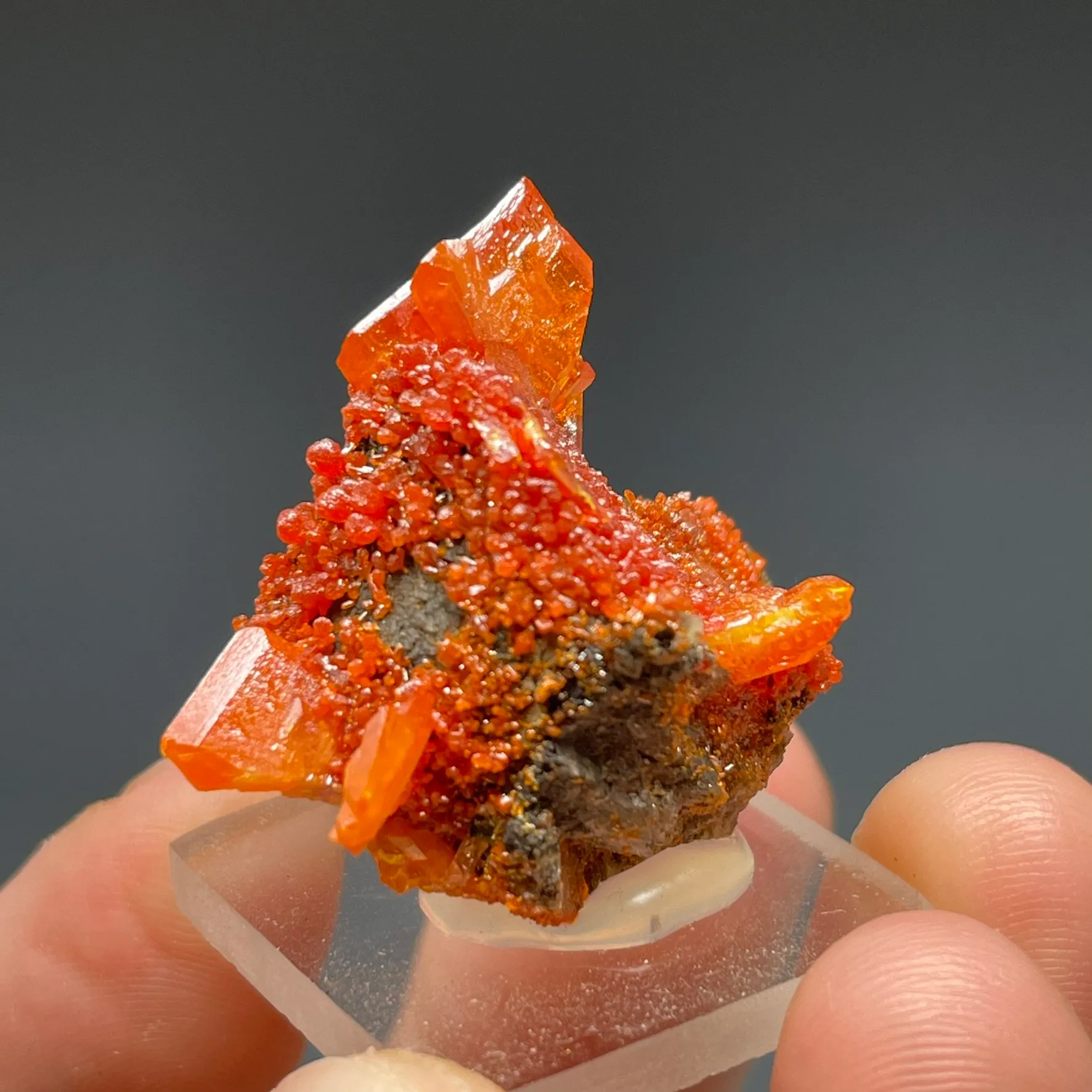 Wulfenite with Mimetite - image 3