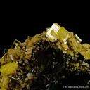 Wulfenite with Mimetite - image 6