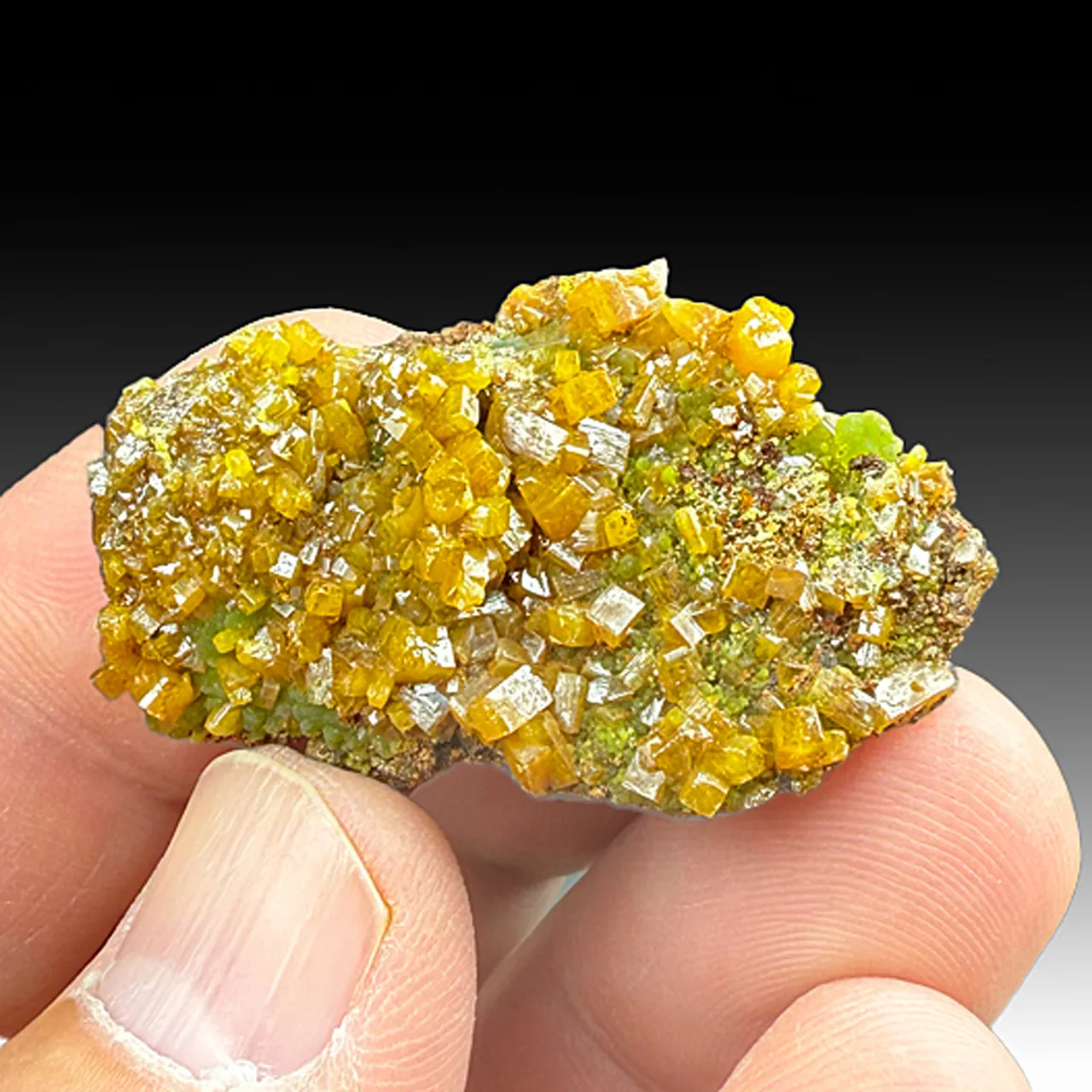 Wulfenite with Mimetite - image 1