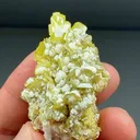 Wulfenite with Phosphohedyphane (WUL-0017) - image 1