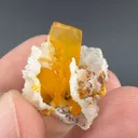 Wulfenite with Quartz - image 2