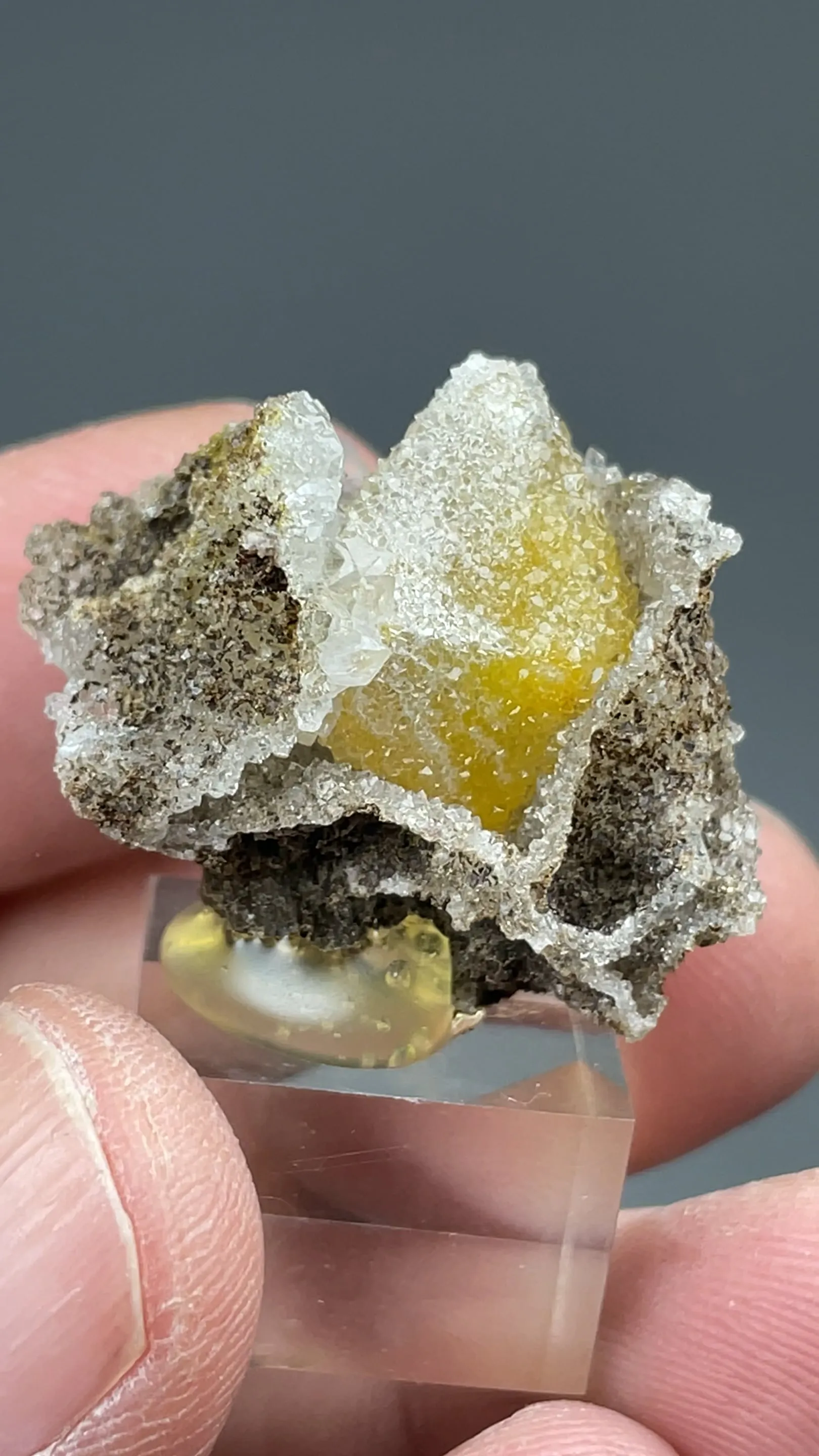 Wulfenite with Quartz - image 2