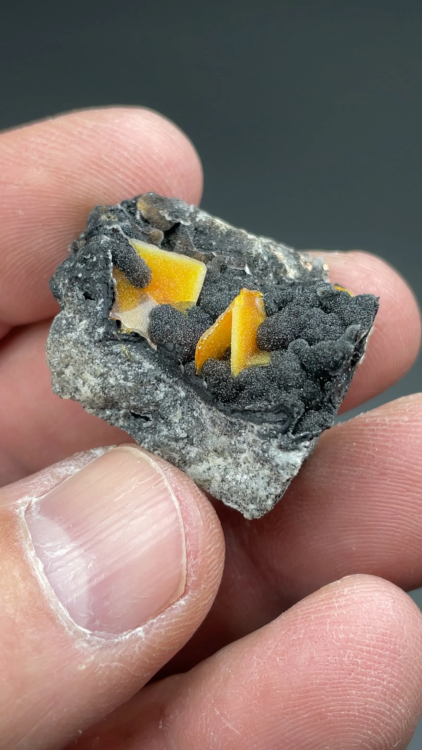Wulfenite with Quartz - image 2