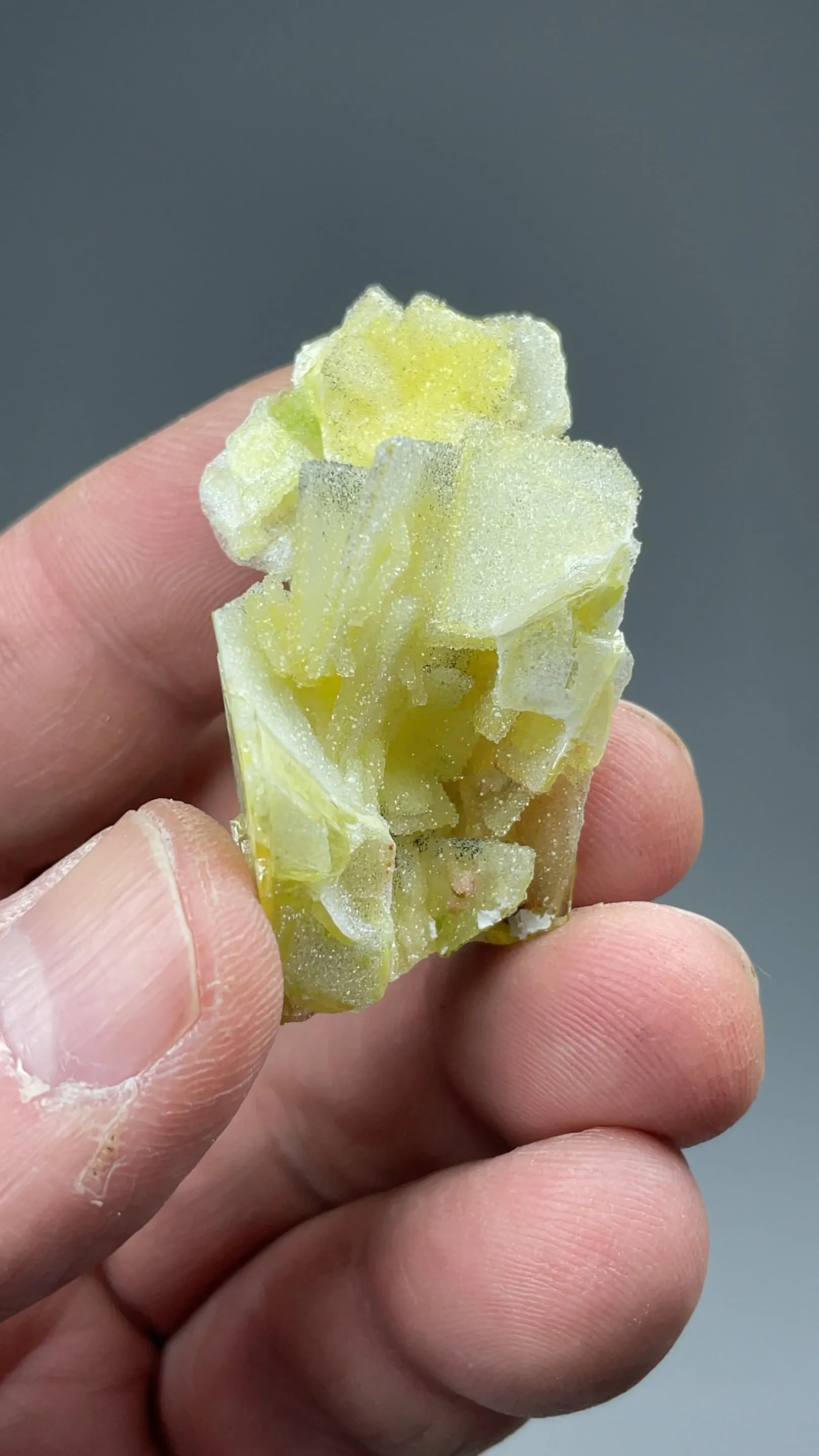 Wulfenite with Quartz - image 2